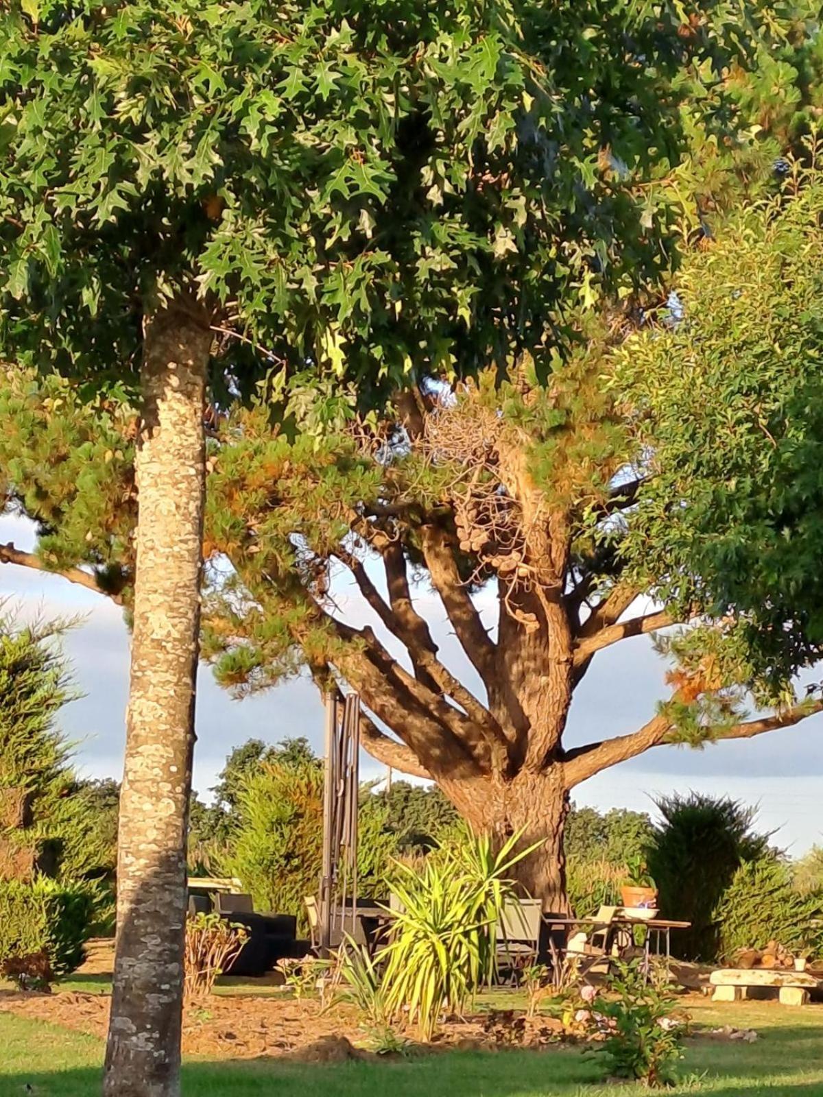 Gite En Campagne Lamegritniere Esterno foto
