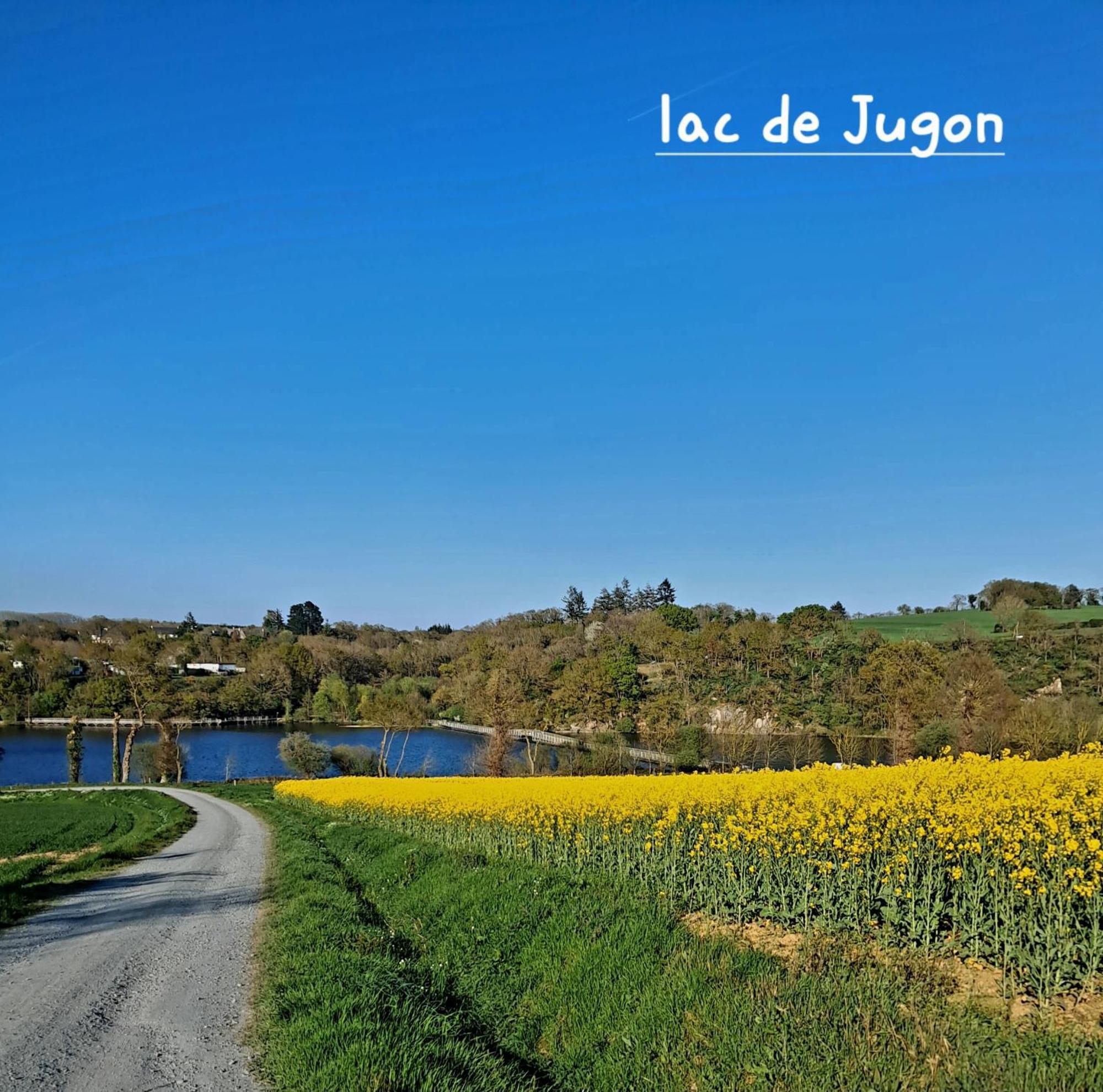 Gite En Campagne Lamegritniere Esterno foto
