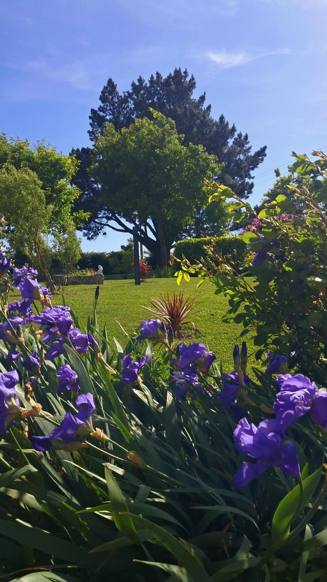 Gite En Campagne Lamegritniere Esterno foto