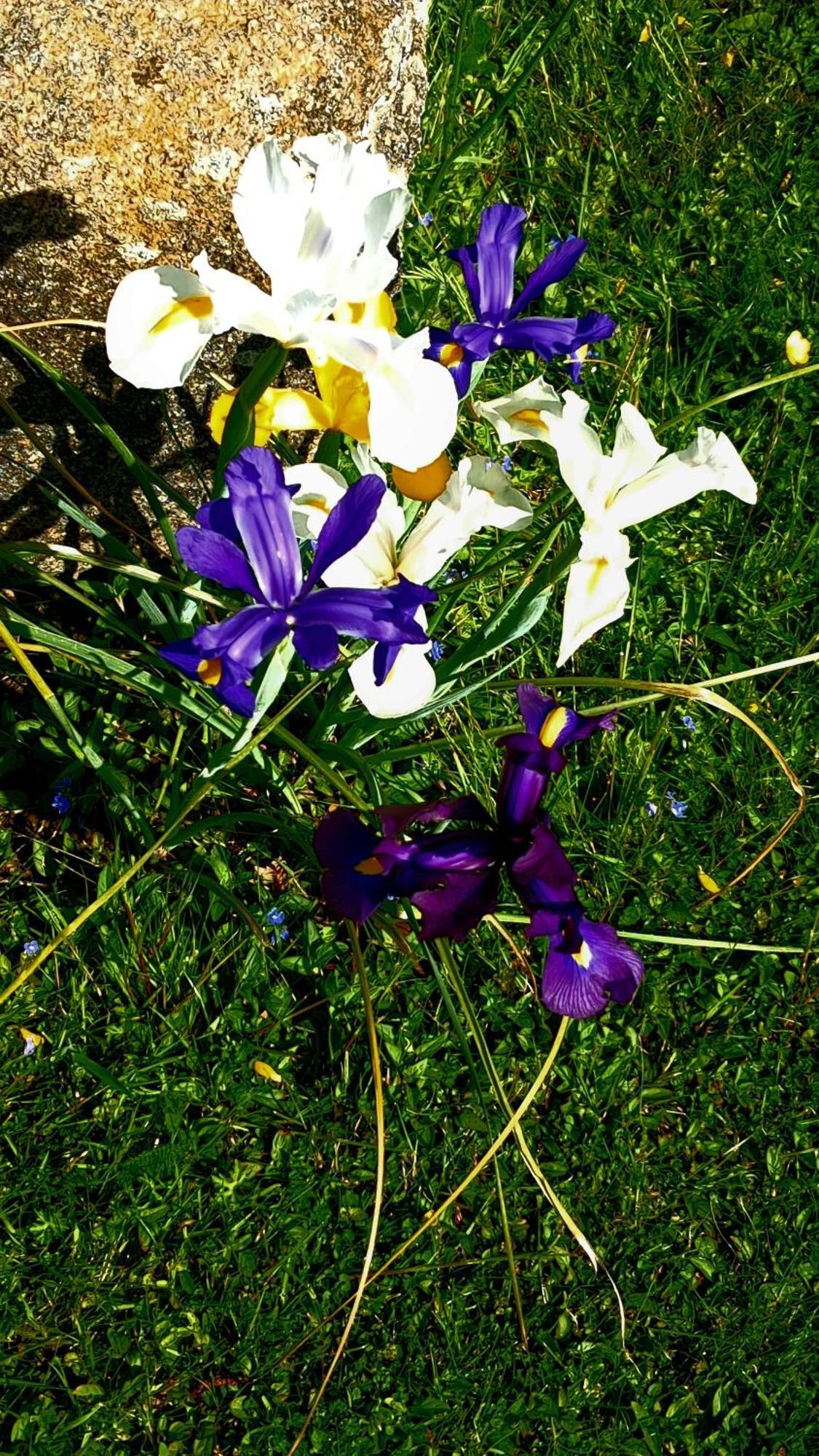 Gite En Campagne Lamegritniere Esterno foto