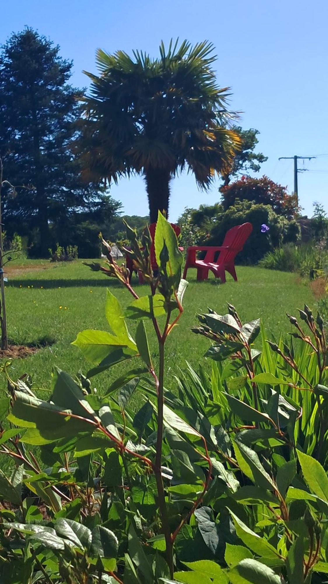 Gite En Campagne Lamegritniere Esterno foto